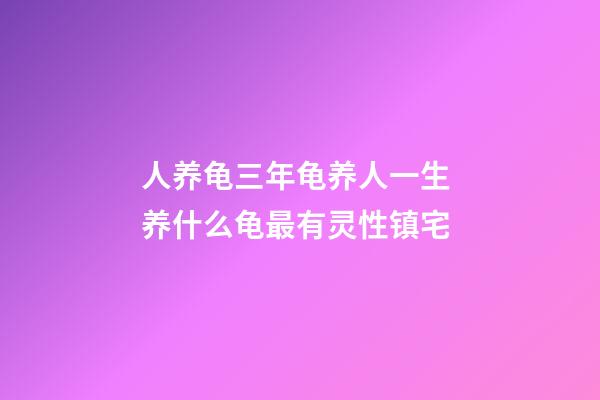 人养龟三年龟养人一生 养什么龟最有灵性镇宅
